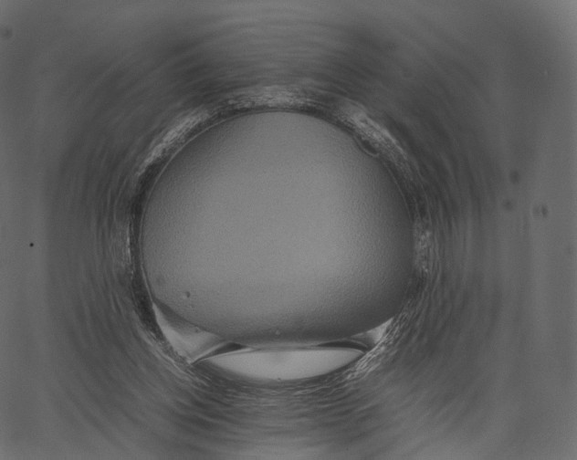 X0000062620158200601111043