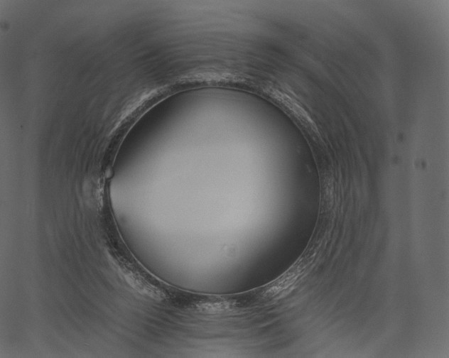 X0000062620160200601111043