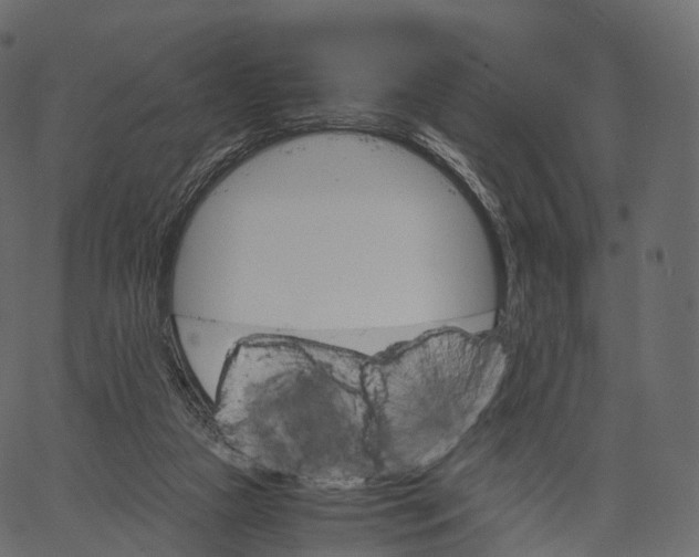 X0000062620161200601111043