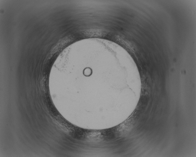 X0000062620162200601111043