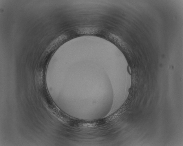 X0000062620163200601111043