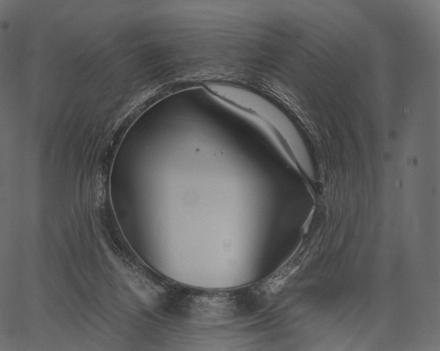 X0000062620164200601111043