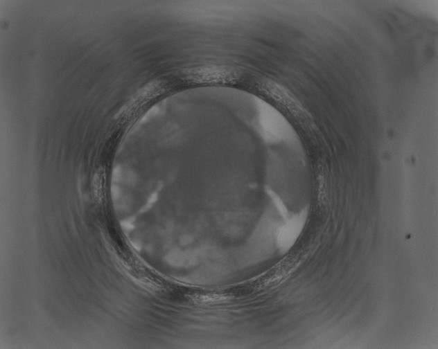 X0000062620165200601111043