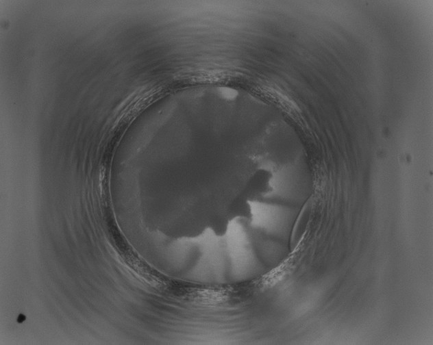 X0000062620166200601111043