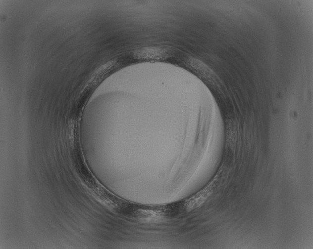 X0000062620167200601111043