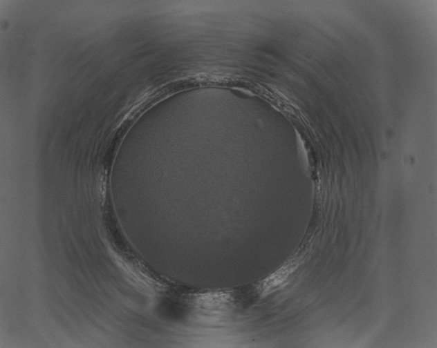 X0000062620168200601111043