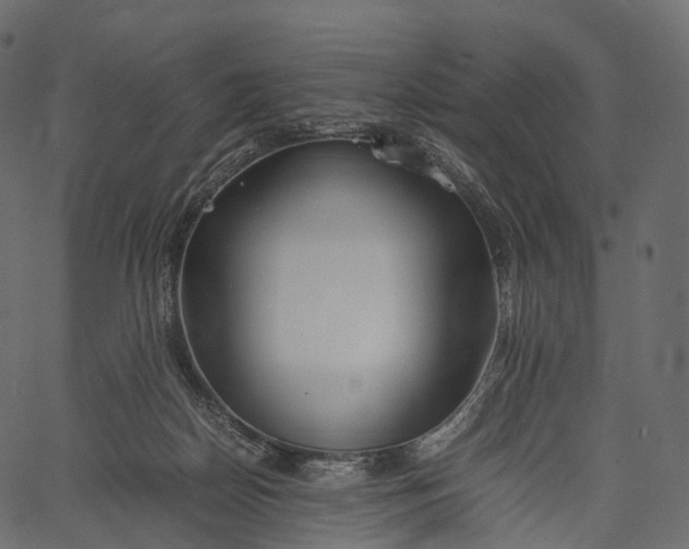 X0000062620170200601111043