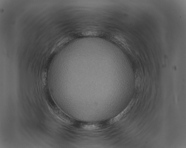 X0000062620171200601111043