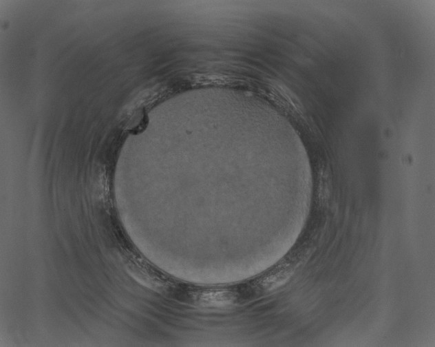 X0000062620173200601111043