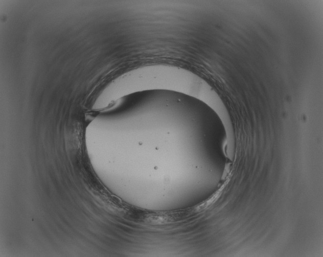 X0000062620174200601111043