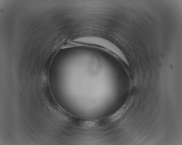 X0000062620176200601111043