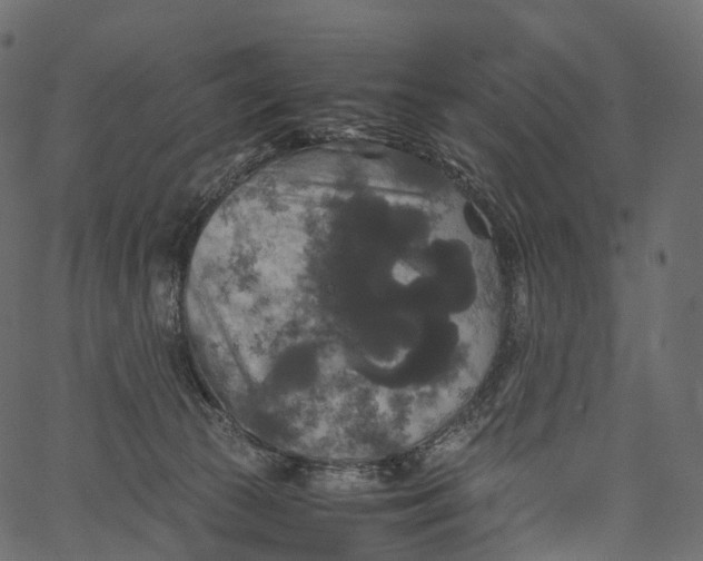 X0000062620177200601111043