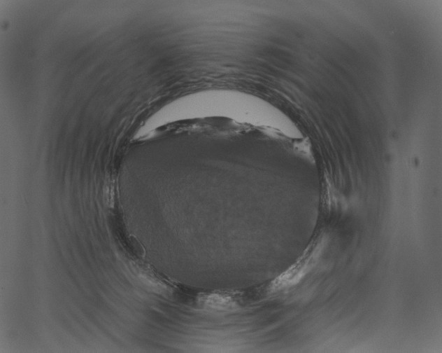 X0000062620180200601111044