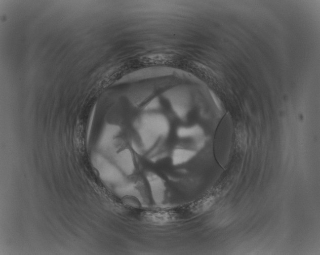 X0000062620181200601111044