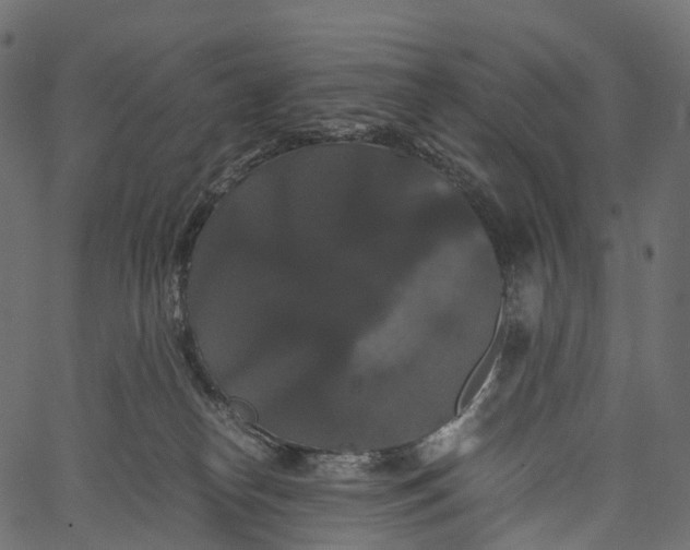 X0000062620182200601111044