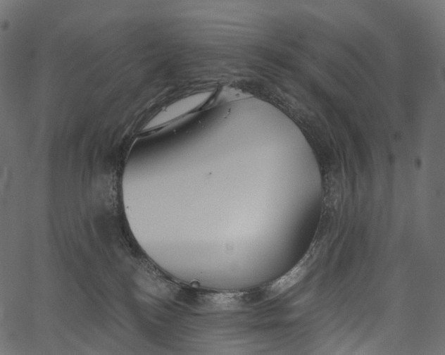 X0000062620184200601111044