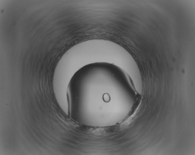 X0000062620186200601111044