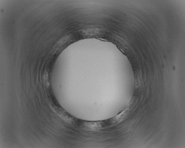 X0000062620187200601111044