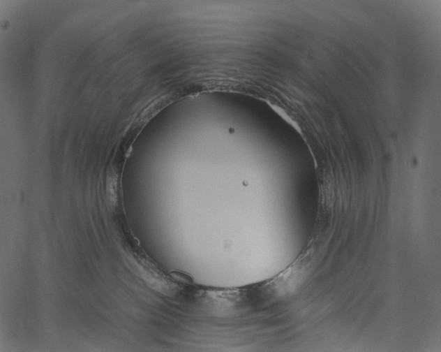 X0000062620188200601111044