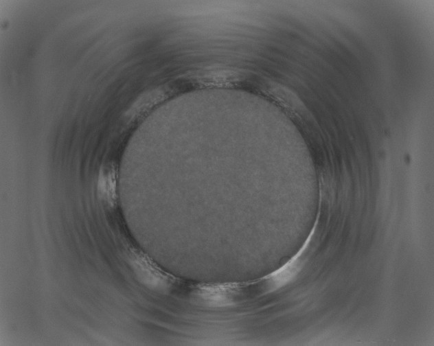 X0000062620190200601111044