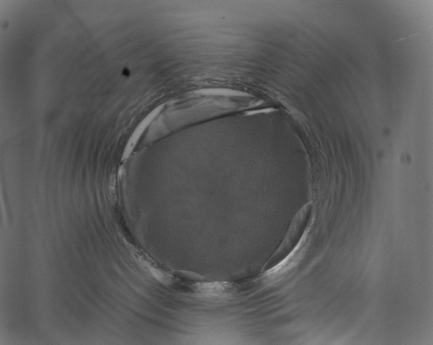 X0000062620192200601111044