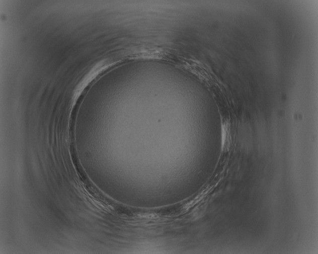 X0000062620195200601111043