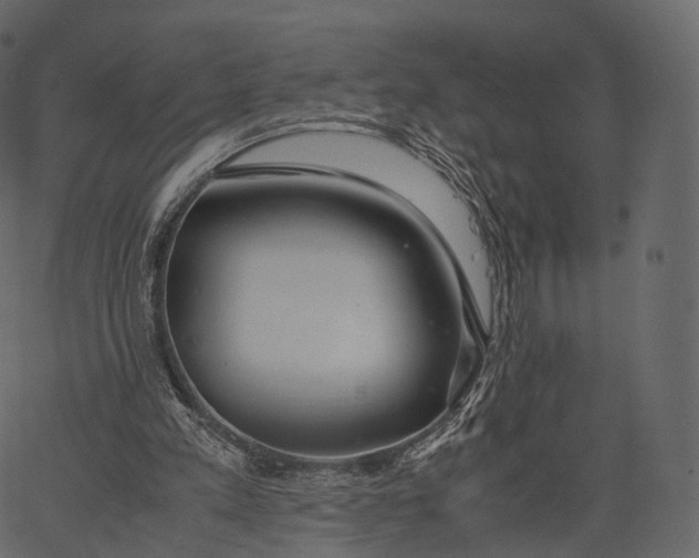 X0000062620197200601111043