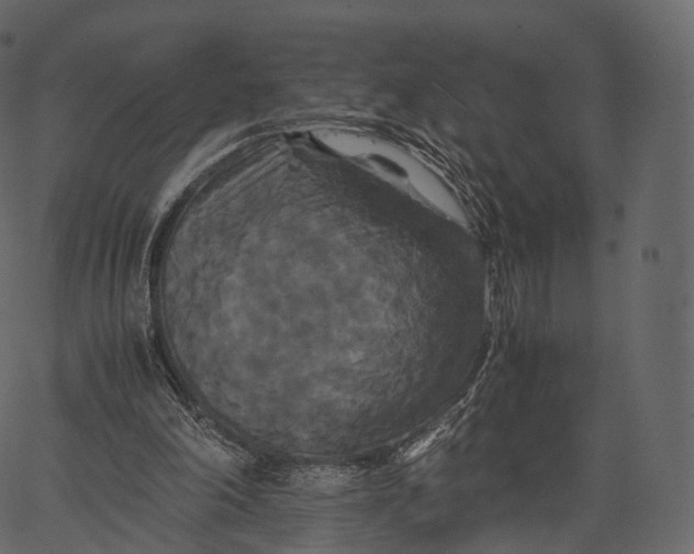 X0000062620198200601111043