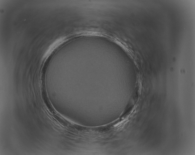 X0000062620199200601111043