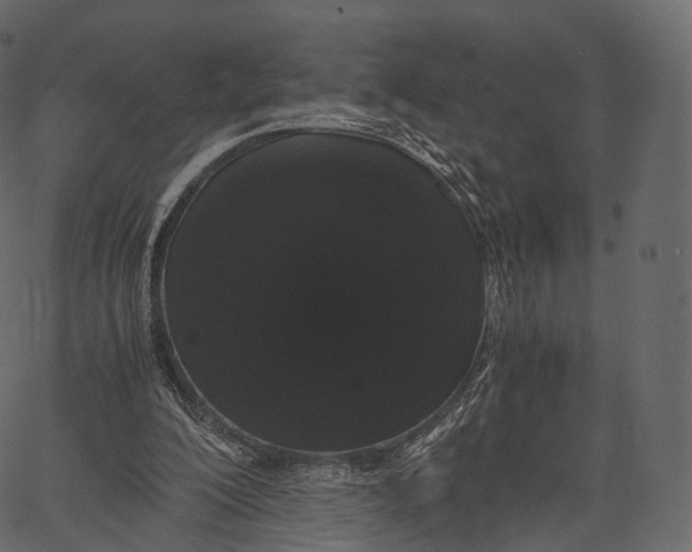 X0000062620200200601111043