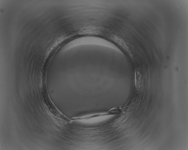 X0000062620204200601111043