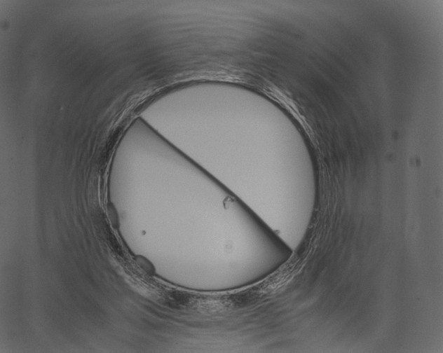 X0000062620205200601111043