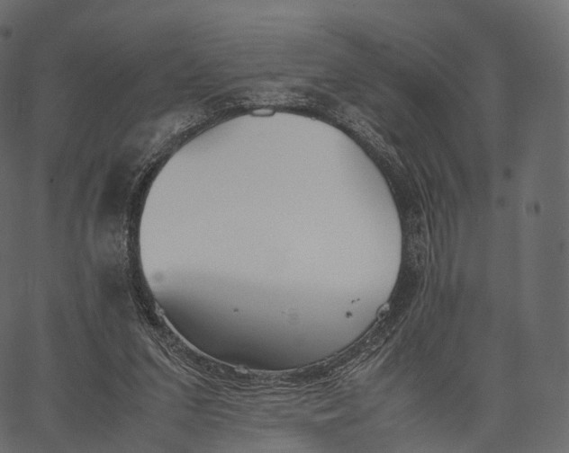 X0000062620207200601111043