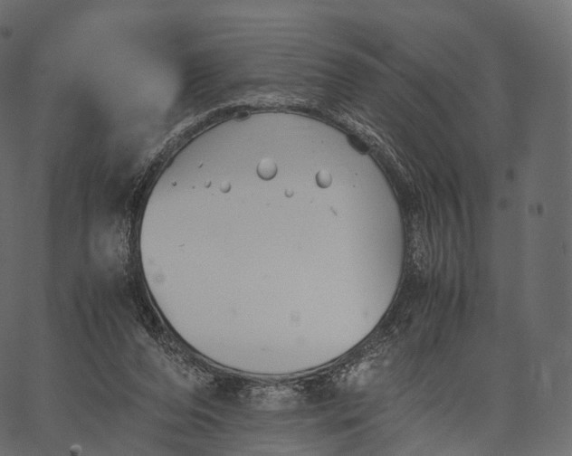 X0000062620208200601111043