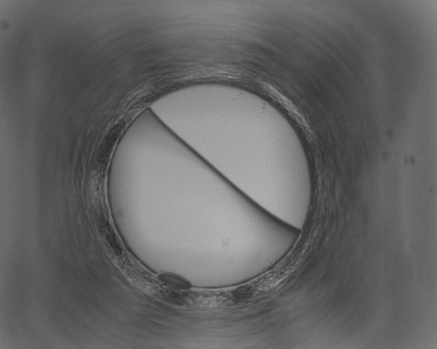 X0000062620209200601111043