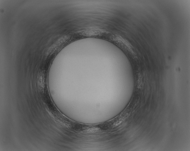 X0000062620210200601111043