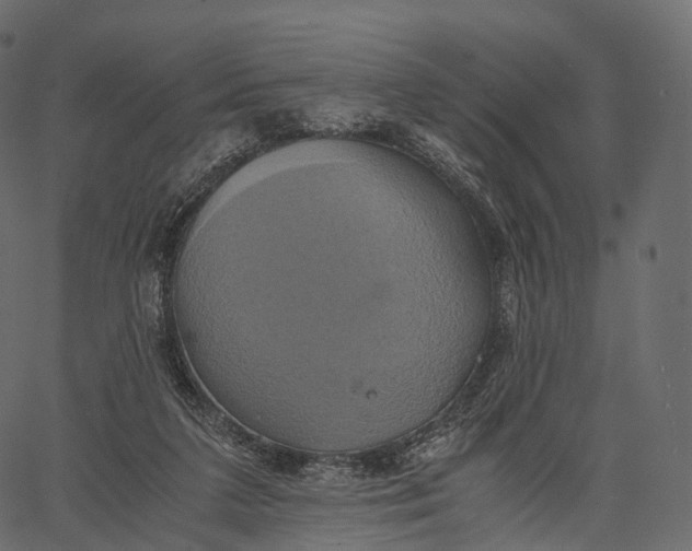 X0000062620211200601111043