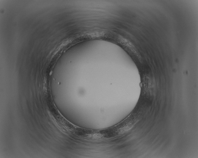 X0000062620212200601111043