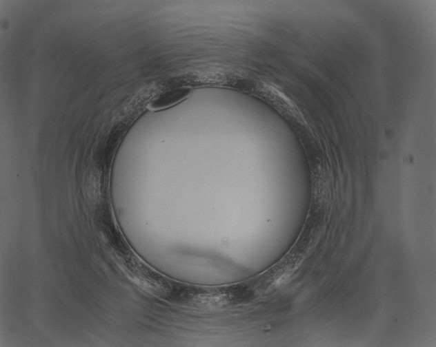 X0000062620213200601111043