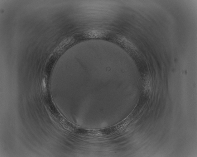 X0000062620214200601111043