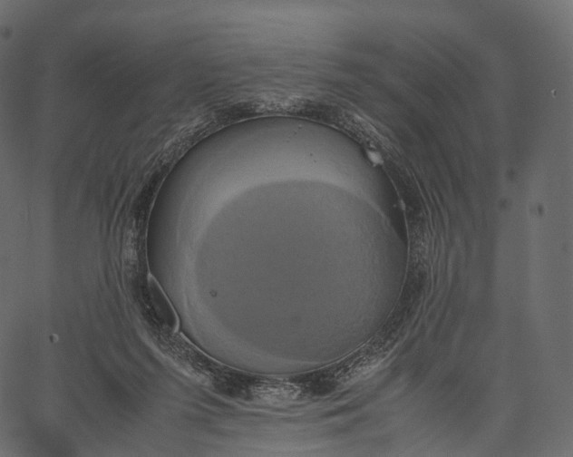 X0000062620215200601111043