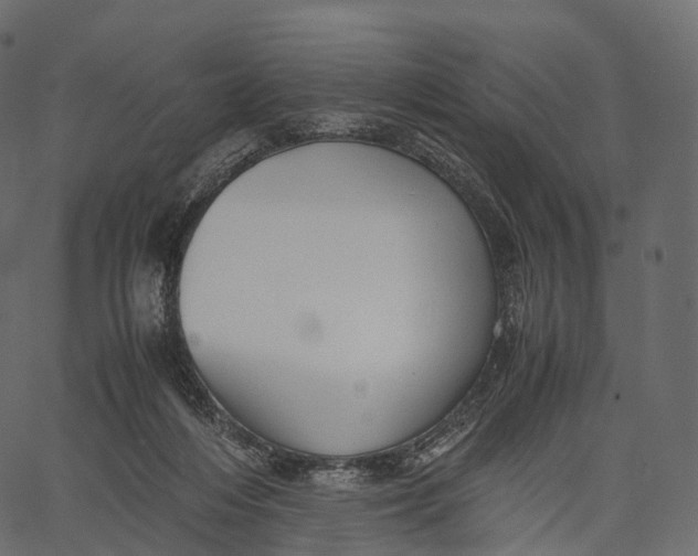 X0000062620216200601111043