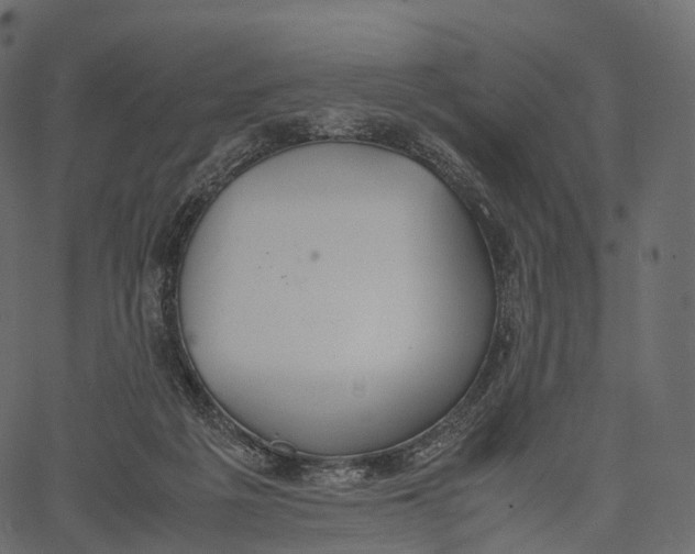 X0000062620217200601111043