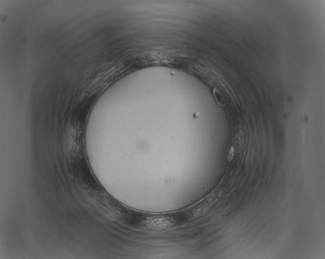 X0000062620218200601111043