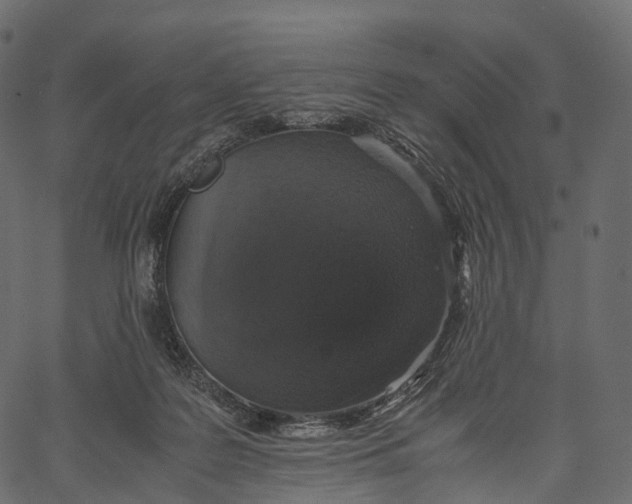 X0000062620219200601111042