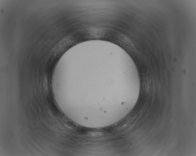 X0000062620220200601111042