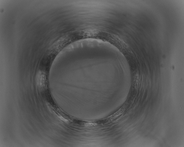 X0000062620222200601111042