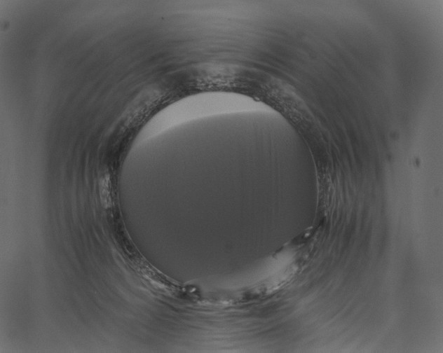 X0000062620224200601111042