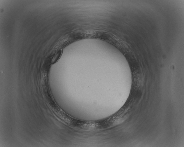 X0000062620225200601111042