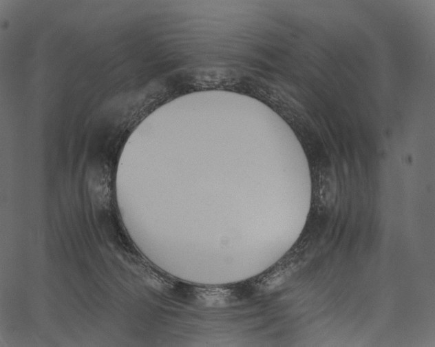 X0000062620226200601111042